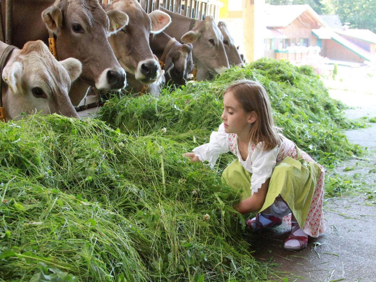 Ferienhof Nigg Rettenberg Exteriör bild
